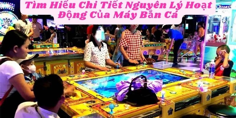 Tìm Hiểu Chi Tiết Nguyên Lý Hoạt Động Của Máy Bắn Cá