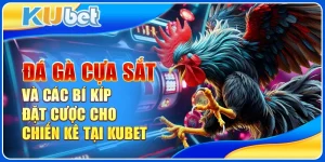 Đá Gà Cựa Sắt