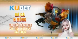 đá gà h mông